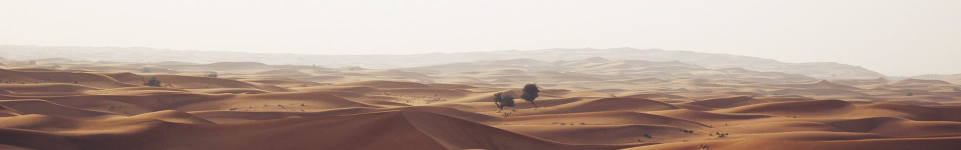 ȫݹ޹˾